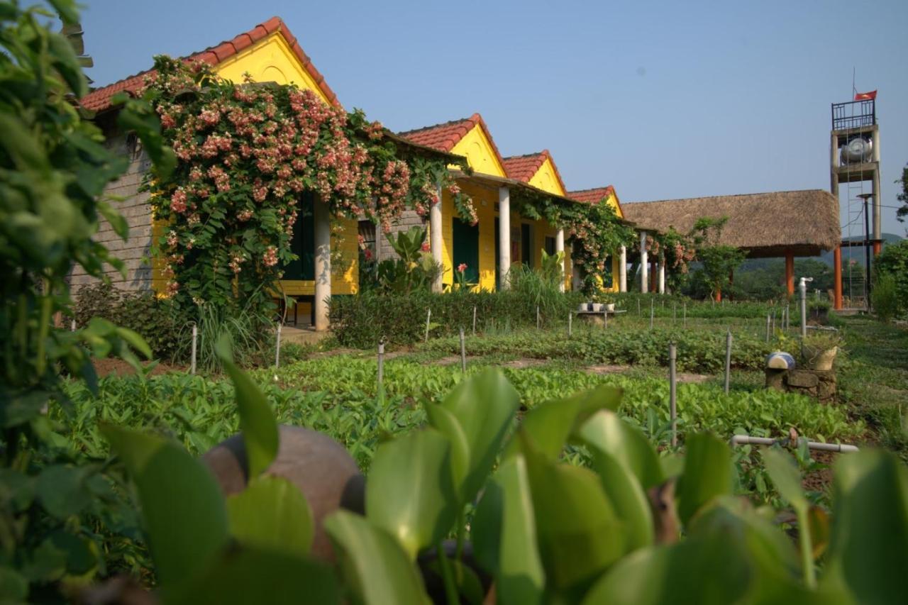 Greenfield Ecostay Phong Nha Exterior foto